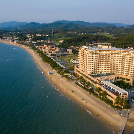 비체 팰리스 호텔 보령 외부 사진